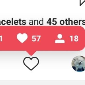 Meet your Posher, Noa